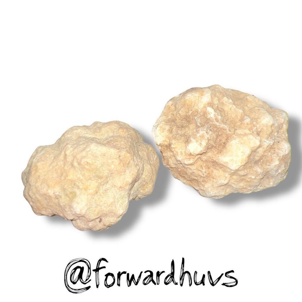 (2) 2” Raw Tennessee Creek Geode - Break them Yourself